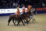 Quadrille - 00040